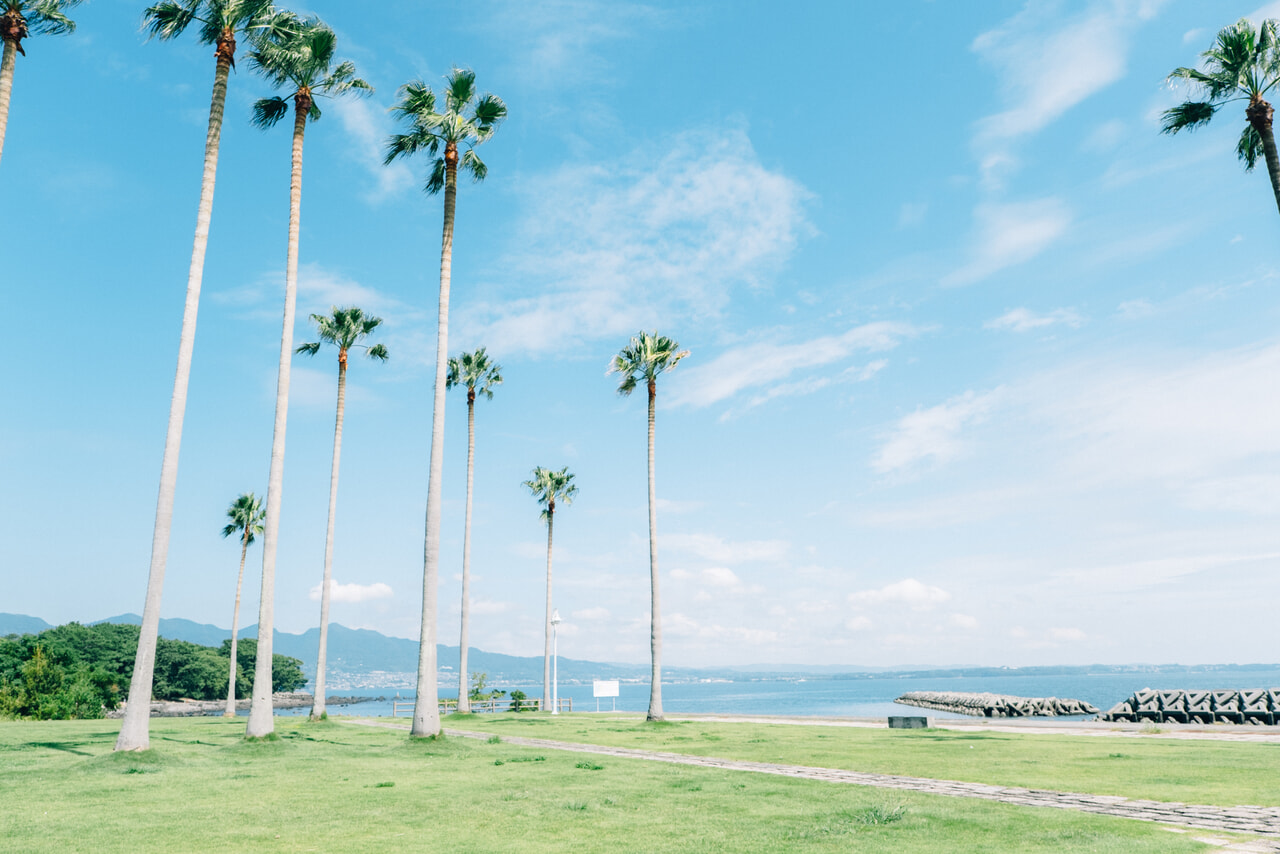 上人ヶ浜公園 子連れ観光