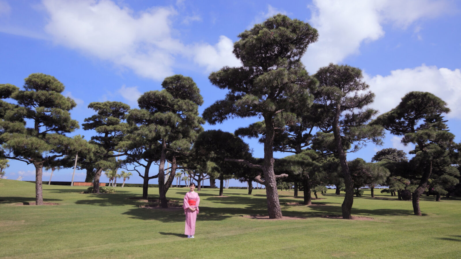 指宿白水館 松の庭園